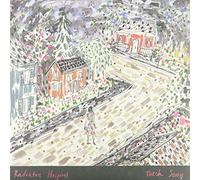 Radiator Hospital - Torch Song