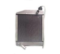 RADIATORE ACQUA MICROCAR LYRA VIRGO MC1 MC2 AIXAM MOTORE LOMBARDINI Universali