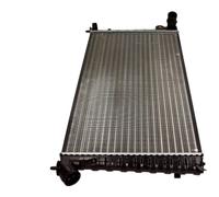 Radiatore Acqua Motore Easy Fit per Citroën Berlingo Mf 2.0 HDI 90 1.9 D M_