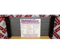 Radiatore Acqua Motore Fiat Stilo 1.2 / 1.4 / 1.6 Benzina NUOVO