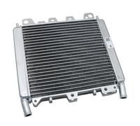 Radiatore Acqua Piaggio Beverly 125/300 RST, 656528