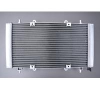 Radiatore Acqua Racing Rinforzati AVDB HISUN RK PERFORMANCE 450 2020-2022