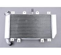 Radiatore Acqua Ricambio Tipo Racing KAWASAKI Z400 Z 400 Z-400 ER400D 2019-2023