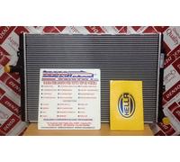 Radiatore Acqua Skoda Yeti 2.0 TDi Diesel 2009-2015 ORIGINALE