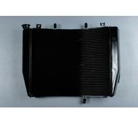Radiatore Acqua Tipo Originale per KAWASAKI ZZR 1400 PERFORMANCE ZXT40E 2016-20
