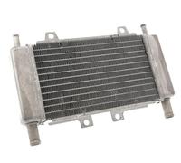 Radiatore ad acqua, sistema di raffreddamento per Piaggio Zip C25, Gilera Runner C14 C36, DNA C27