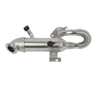 Radiatore AGR Ricircolo Gas per Ford Fuoco Torneo Transit Collegare Dnw P65