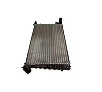 MAXGEAR Radiatore, Raffreddamento motore per CITROËN PEUGEOT AC251572