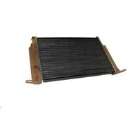 Radiatore, raffreddamento motore THERMOTEC D7F031TT
