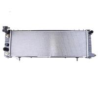 Nissens 609881 - Radiatore, Raffreddamento Motore