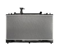 Radiatore, raffreddamento motore THERMOTEC D73004TT