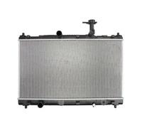 Radiatore, raffreddamento motore THERMOTEC D78021TT