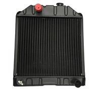 Radiatore Ama Rame per Ford 81875325