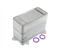 Radiatore batteria posteriore CCL-CH-032 NTY