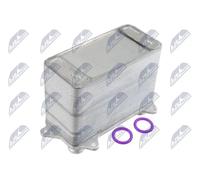 Radiatore batteria posteriore CCL-CH-032 NTY