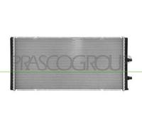 PRASCO BM254R002 Radiatore motore