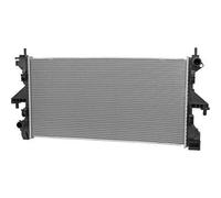 DIEDERICHS DCM3979 Radiatore motore