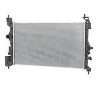 DIEDERICHS DCM3968 Radiatore motore