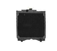 THERMOTEC D7AG016TT Radiatore motore