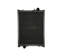THERMOTEC D7AG093TT Radiatore motore
