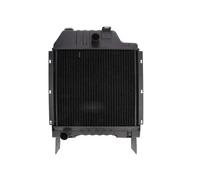 Thermotec Radiatore motore D7AG109TT – Raffreddamento motore