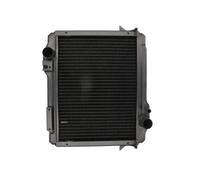 Thermotec Radiatore motore D7AG129TT