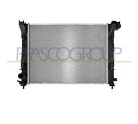 PRASCO DS016R001 Radiatore motore
