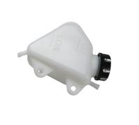 Radiatore del serbatoio del liquido di raffreddamento per Kawasaki KLX250 94-07