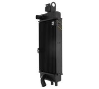 Radiatore Dell'Acqua