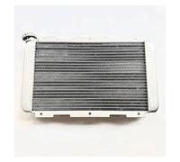 Radiatore dell'acqua adatto for Hisun MSU400 H400UTV HS400UTV-2 400 UTV Side By Side Outfiter 19200-112C-0000
