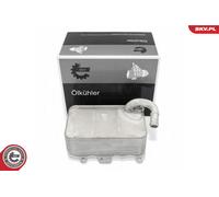 Radiatore dell'olio AUDI A4 A5 A6 A7 A8 Q5 VW Touareg
