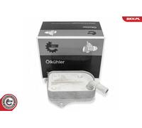 Radiatore dell'olio AUDI A4 A6 VW Passat