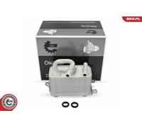 Radiatore dell'olio BMW X5