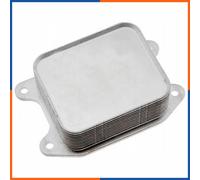 NTY Radiatore olio, Olio motore compatibile con AUDI SEAT SKODA VW VAG CUPRA