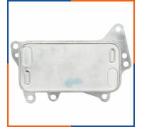 NTY Radiatore olio, Olio motore compatibile con BMW CCL-BM-021
