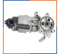 NTY Radiatore olio motore CCL-CT-010A raffreddato ad acqua per Citroën, Fiat, Ford, Lancia, Peugeot