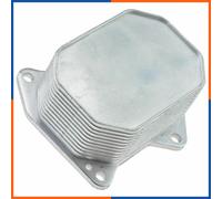 NTY Radiatore olio motore CCL-FR-001 per Citroën, Fiat, Ford, Peugeot