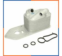 Radiatore olio motore CCL-FR-015 NTY per FORD TRANSIT CUSTOM V362 Autobus
