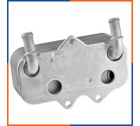 NTY Radiatore olio motore CCL-PL-001 per Opel Astra G, Vectra B/C, Zafira A, Signum