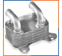 NTY Radiatore olio, Olio motore CCL-PL-000 Compatibile con: OPEL ASTRA G Caravan, ASTRA G CC, ASTRA G Kasten/Kombi, ASTRA G Stufenheck, COMBO Kasten/Großraumlimousine, COMBO Tour, CORSA C
