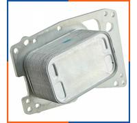 NTY Radiatore olio, Olio motore compatibile con BMW TOYOTA MINI CCL-TY-003