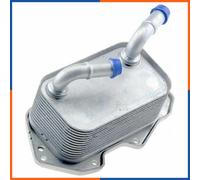 NTY Radiatore olio motore CCL-AU-026 raffreddato ad acqua per Audi, VW