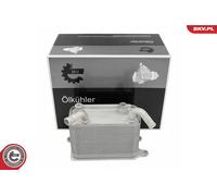 Radiatore dell'olio VW Multivan T5 Transporter T5