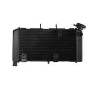 Radiatore di raffreddamento adatto for moto NC700X 2012-2017 NC750X 2014 2023