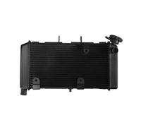 Radiatore di raffreddamento del motore adatto for Hon NC700 NC700X 2012-2017 NC750S 2014-2021 NC750X ABS DCT 2014-2023 Ricambi for motociclette