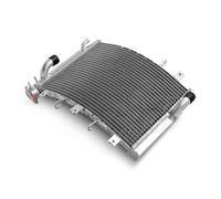 Radiatore di raffreddamento del motore adatto for N ZX6R 98-23 99 00 01 07 08 09 10 11 12 ZX-6R ABS 13 14 15 16 17 18 19 20 21 22 23 ZX6RR 03 04 05 06(ZX6RR 05 06)