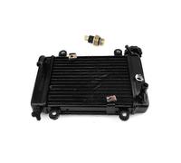 Radiatore di raffreddamento del motore di raffreddamento ad acqua ATV + ventola per 150cc 250cc PIT