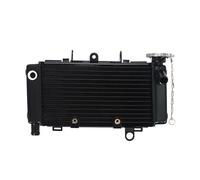 Radiatore di raffreddamento for moto in alluminio nero, serbatoio dell'acqua di raffreddamento adatto for Hon JADE 250 Sapphire Magna250 JADE250 Dragon Dogs