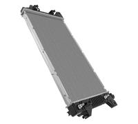 Radiatore Di Raffreddamento Per Auto Compatibile Con Ford Per Expedition 2009 2010 2011 2012 2013 2014 FO3010287 Radiatore Motore Cambio Manuale