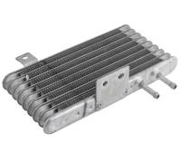 Radiatore D'Olio Refrigeratore Cambio Automatico Per Lancia VIII 2920A103